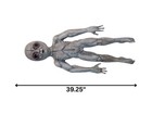 Alien Area 51 Prop Halloween Roswell Ufo Grey Haunted House Extra Terrestrial