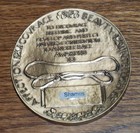 Irish Setter Club Of America 3  Bronze Medal - Irish Setter Dog Shamus Winner