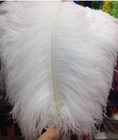 5 Pcs White 28-30 Inches Large Ostrich Feather plume wing  Horse Feathers