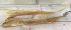 2 Elk Backstrap Sinew Authentic 19-22   