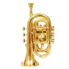 Antique Brass Shinny Finish Pocket Decorative Trumpet With Mouthpiece Gift