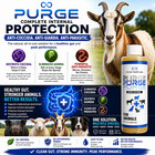 Purge - Natural Wormer   Coccidia Tx For Cattle  Goats  Sheep  Pigs    Dogs  8oz
