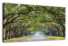 Forest Wall Art Nature Canvas Picture Landscape Canvas Artwork Living Room Be   