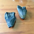 2 Megalodon Shark Teeth Set Fossil Kids Gift Tooth Present Nc Sharks Rare Fossil