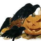 Halloween Stuffed Feather Crow Bird Black Ravens Fancy Cs New Prop Decor 2024