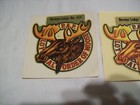 2 Vintage Loyal Order Of Moose Lodge Window   Glass Decal Berwyn Il Lodge 424