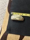 Reproduction Whale Tooth With Scrimshaw Ocean And Ship Image  Also Table Fruit