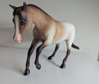 Peter Stone  bright Zip   john Lyon s  9803  Pre-owned Matte Chestnut Appaloosa
