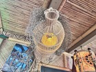 New Rattan Fish Trap Lamp  W  Real Puffer Fish Yellow Led Smokin Tikis Oceanic