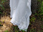 Alfred Angelo Sapphire Ivory Sz 10  1550 Wedding Gown Dress