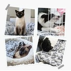 Grey Pet Blanket Washable Soft Fleece Bed For Dog Cat