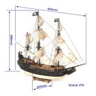 Occre 12012 Galleon Black Swan Pirate Ship 1 75 Wooden Ship Kit