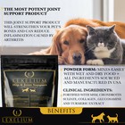 Joint Support For Dogs And Cats   Helps With Arthritis And Reduces Inflammation