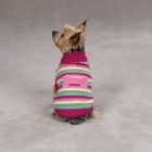 Zack And Zoey Bright Stripe Bone Sweater  Pink   Pastel Dog Clothing  Large Pet