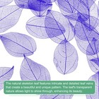 100-pack Skeleton Leaves  Natural Rubber Tree Leaves Vein 4-6cm  Purple 
