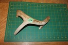 Xlarge Branched Deer Antler Dog Chew  45   Bone Chews Deer Elk Treats Deer 1006