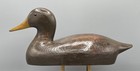 Black Duck Vintage Decoy  prop For Book The Book Exciting Adventures Of Waldo 