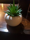 Artificial Potted Plant Succulent W  Pot Small Faux Cactus  3    Home Decor  Zen