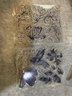 New Stampin    Up     a Touch Of Ink    17 Pcs Retired 155233 Clear Stamp Set 
