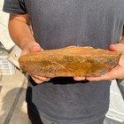 2 8lb Natural Tiger s Eye Stone Quartz Crystal Rough Mineral Specimen Healing