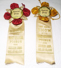 2 First Annual East-reading Pa  Pigeon   Chicken Assn  1923 Prize Ribbons Read  