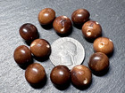 12 Matching Antique Brown Vegetable Ivory Rounded Dome Buttons D649