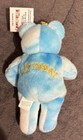 Salvino s Baby Bammers 1999 Tara Lipinski Ice Skating Beanie World Embroidered