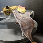 Fruit Bat Hand Puppet Folkmanis New With Tags