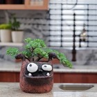 Duke The Boxer Dog     Blob House Planter