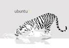 Dell Latitude 7490 Laptop Ubuntu Linux 16gb 480gb Ssd   5 Year Warranty