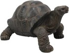 Ebros Lifelike Galapagos Tortoise Statue 6 5  Wide Lucky Zen Turtle Figurine