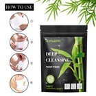 100 Pad Detox Foot Patches Pads Lymphatic Drainage Ginger Body Toxins Cleansing