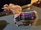 Rare 1997 Grand Champion Feed N  Nuzzle-sunflower W  Blanket  