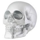 Metallic Silver Human Skull Halloween Figurine Gothic Skeleton Decoration New