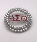 Delta Sigma Theta Inspired Greek Letter Lapel Pins - Set Of 8 - New
