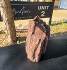 Large Permineralized Wood With Quartz  Rare Fossil Wood Germany  Collector