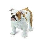 Bulldog Miniature Animal Safari Collectible Toy Figure 2 25 l 1 75 h