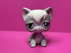 Littlest Pet Shop  345 Gray And White Long Hair Angora Persian Cat Blue Eyes