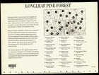 2002 Longleaf Pine Forest 4th Nature Of America Mnh Sheet 10 X 34   Stamps   3611