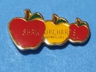 Vintage Shaw Orchards Wenatchee Wa Apple Trio Lapel Pin Washington Souvenir