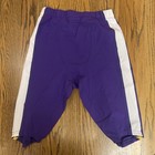 Dan Bailey Kicker Minnesota Vikings Game Worn Pants Nfl Football Size 30 Purple