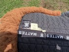 Mattes Sheepskin Half Pad With Front And Rear Trim