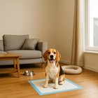 Niedeo Dog Training Pads Ultra-absorbent 23 6 X 23 6 - 125 Pack