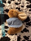 1993 Peter Rabbit Plush Stuffed Animal By Eden Toys
