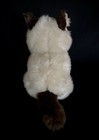Haunted Plush Cat   Iggy  Himalayan Cat Spirit  active    Playful  Affectionate