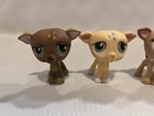 Hasbro Littlest Pet Shop Lps Greyhound Whippets Lot Of 4 Dogs 507 875 319   498