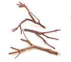 For Sr-manzanita Bird Perches Set Of 3 All-natural Oven Cured   Nice