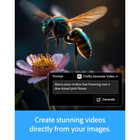 Adobe Lightroom 1tb Storage