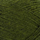 Wool-ease Recycled Yarn  1 Pack  Olive