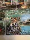 Correos De Mexico 39 Used Stamps Tren Maya Maya Train Yucat  n Peninsula 2024 